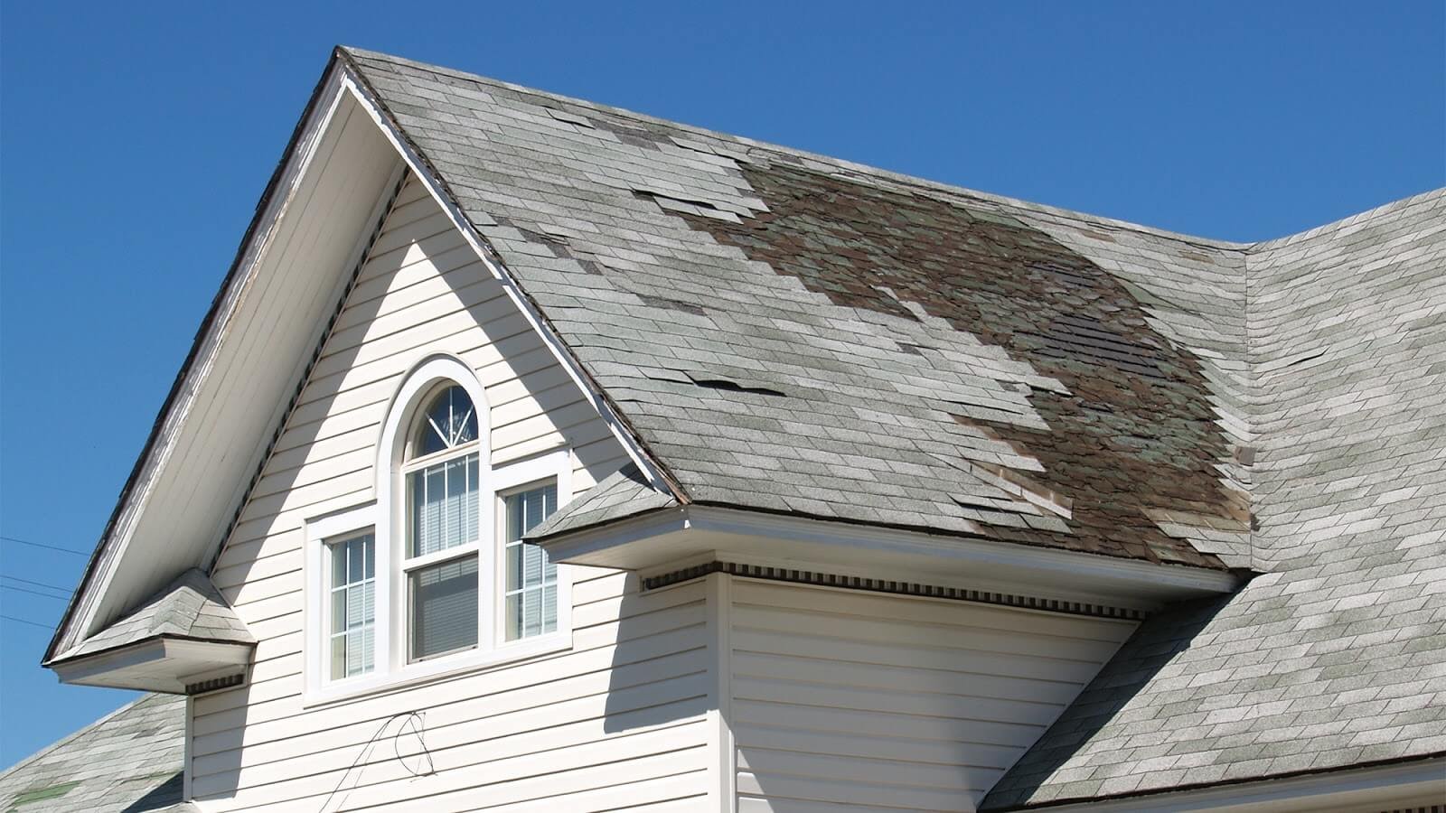 Roofing Problems image